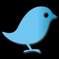 Icon of a twitter bird